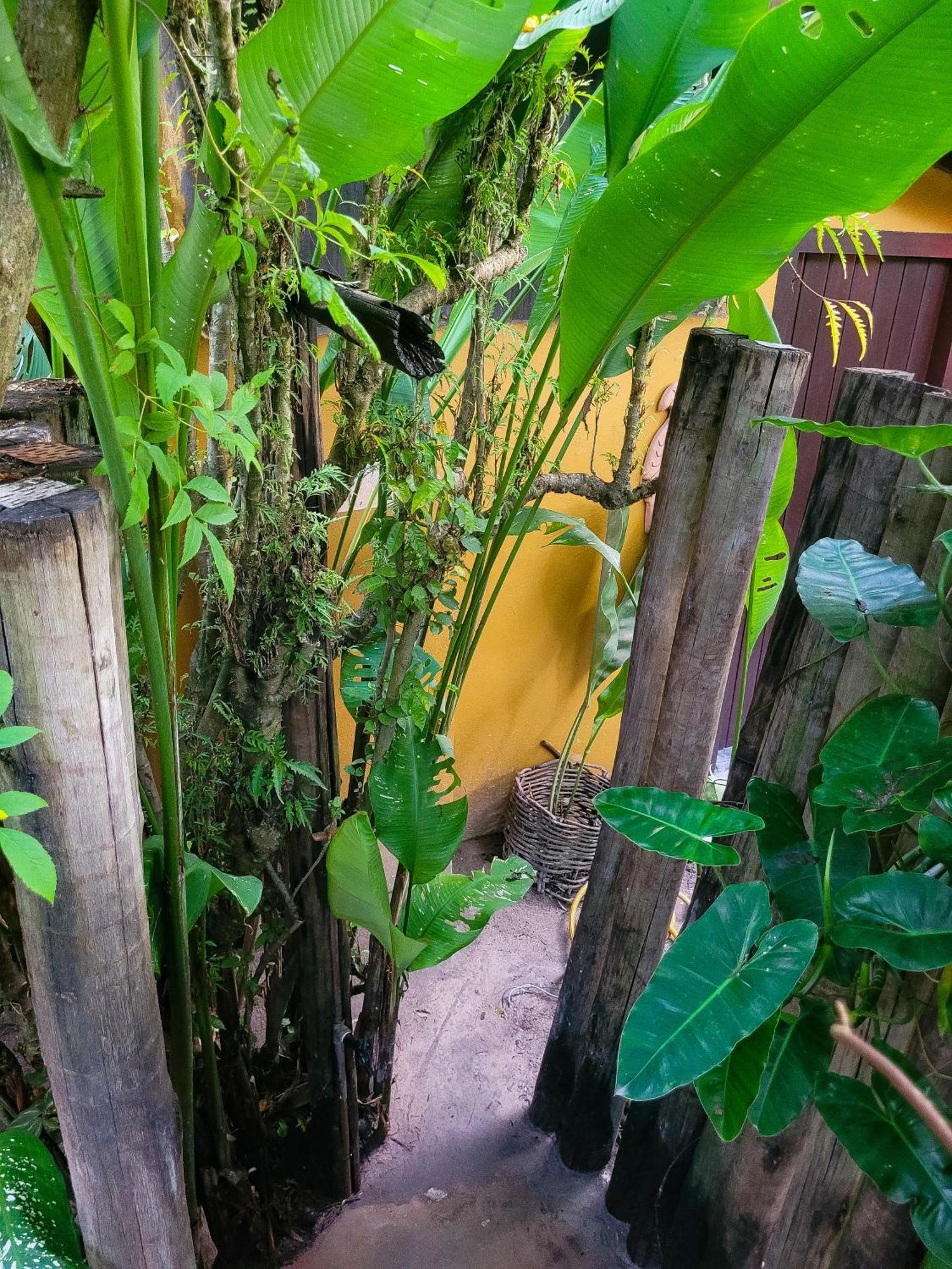 Pousada Raiz Forte Caraíva Exteriör bild