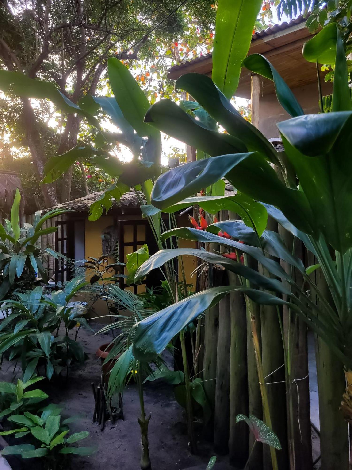 Pousada Raiz Forte Caraíva Exteriör bild